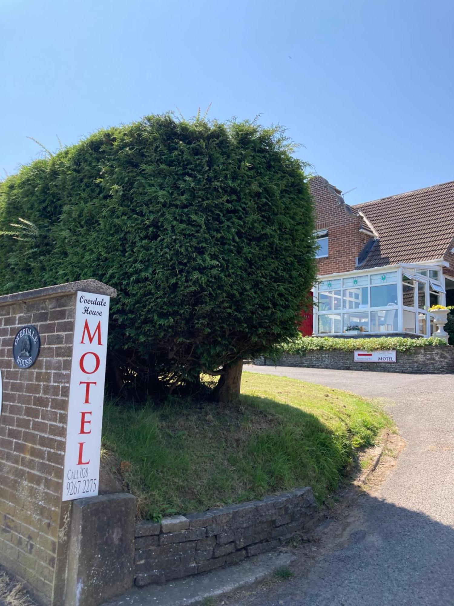 Overdale Motel Lisburn Dış mekan fotoğraf