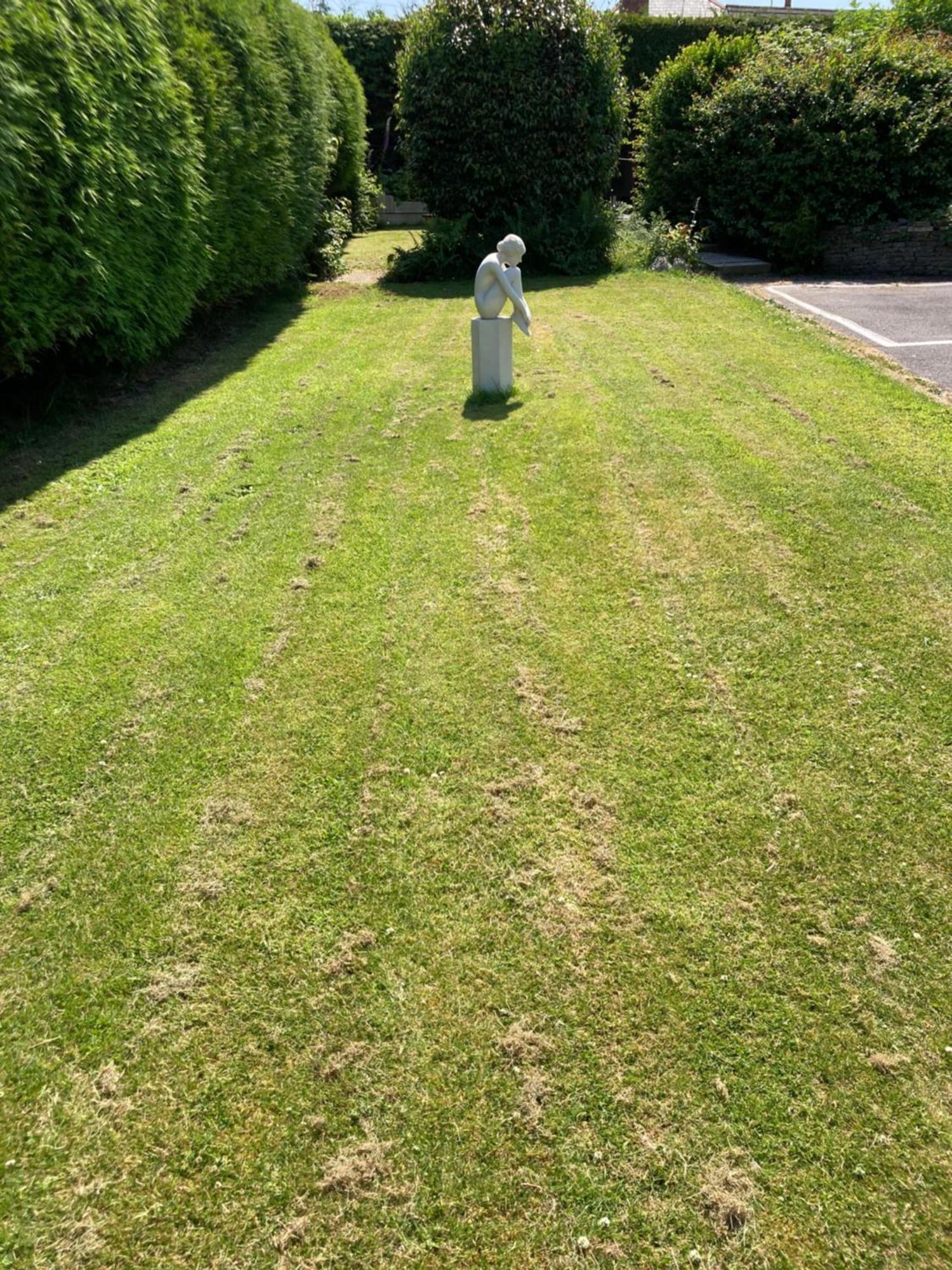 Overdale Motel Lisburn Dış mekan fotoğraf