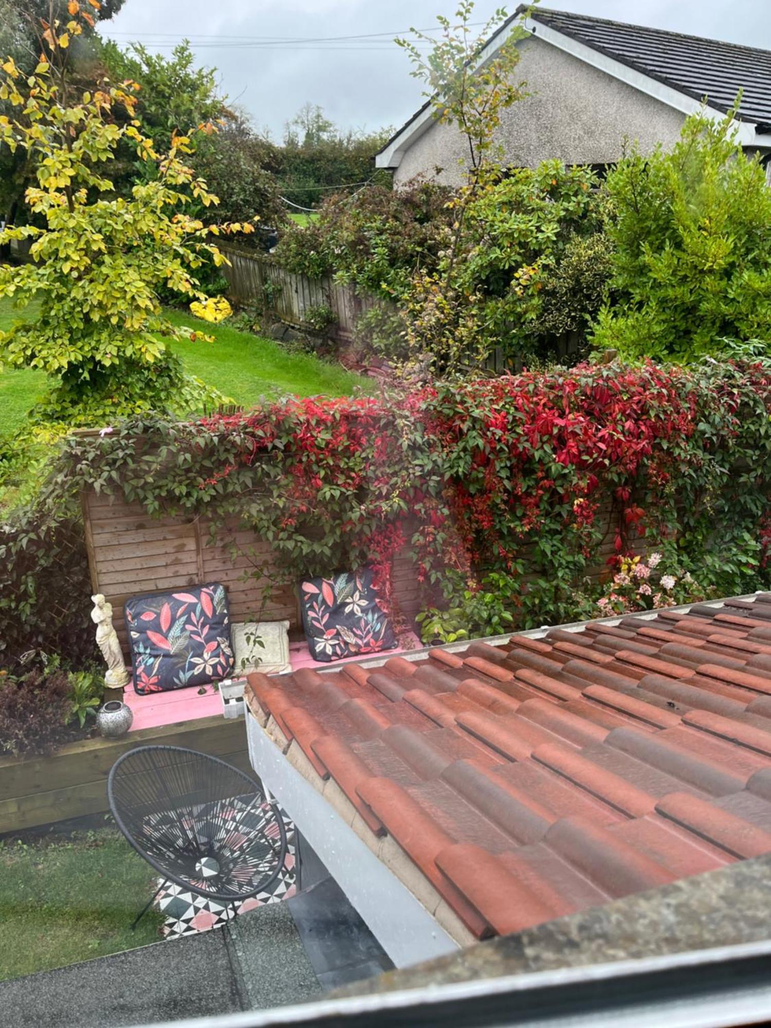 Overdale Motel Lisburn Dış mekan fotoğraf
