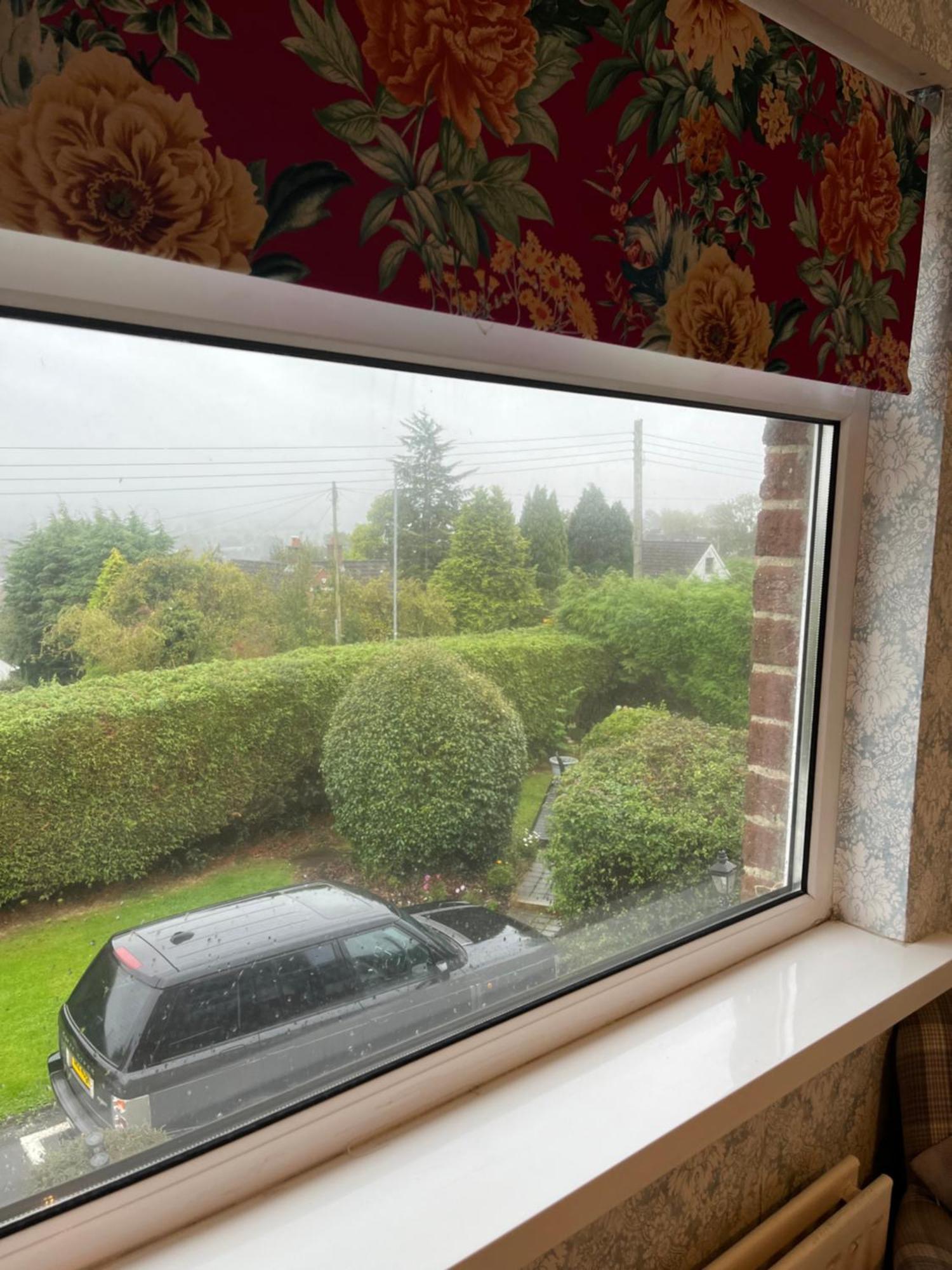 Overdale Motel Lisburn Dış mekan fotoğraf