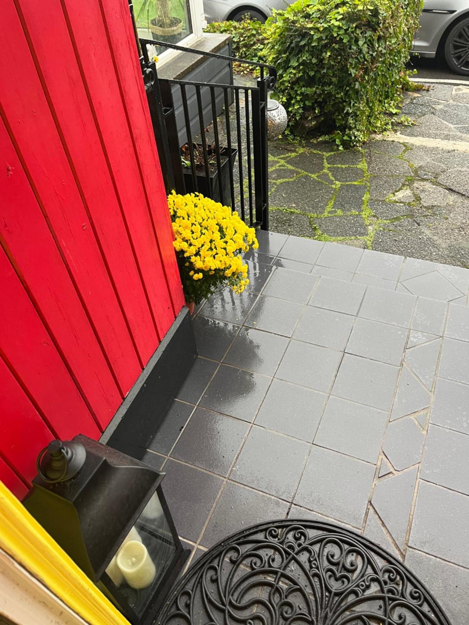 Overdale Motel Lisburn Dış mekan fotoğraf